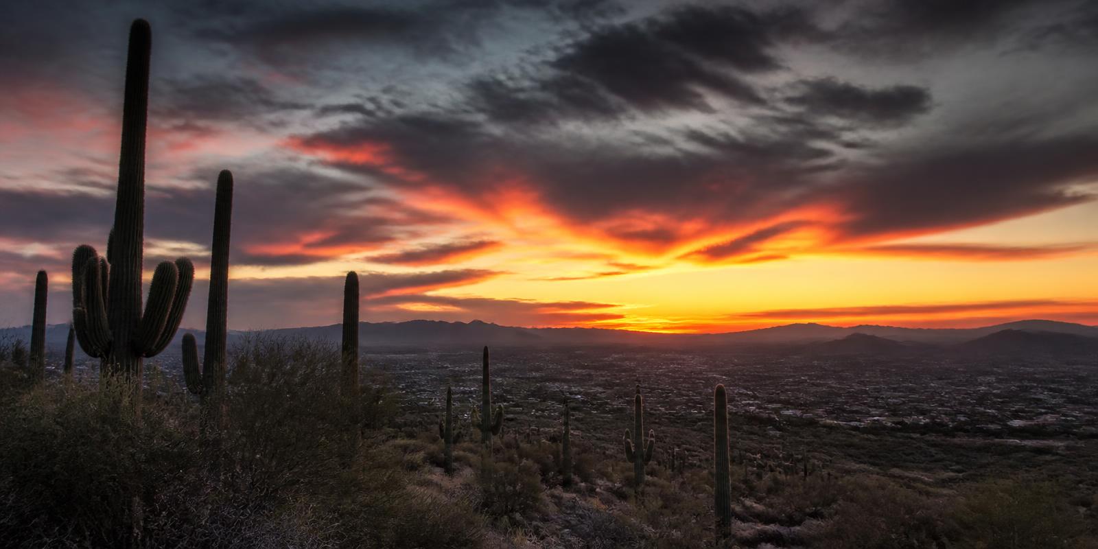 Arizona desert landscape at dusk